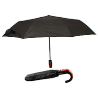 Umbrella U Shaped Handle Black Design 