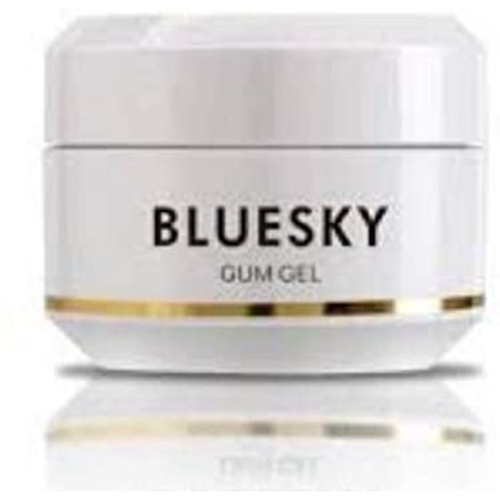 Bluesky Clear Gum Gel 15ml Fresh Breath And Clean Teeth